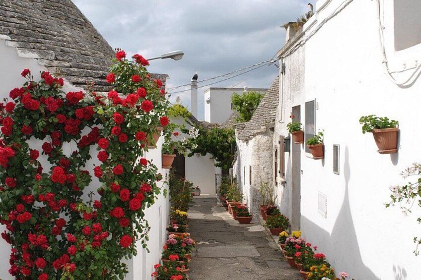 Alberobello with a local tour guide!(shared tour max.15 pax) 2