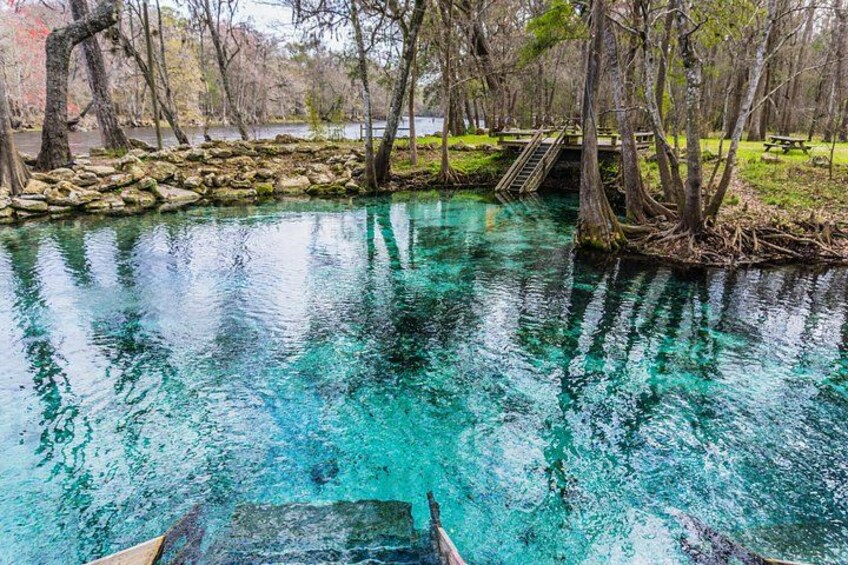 St. Johns River Cruise - Blue Spring State Park 1