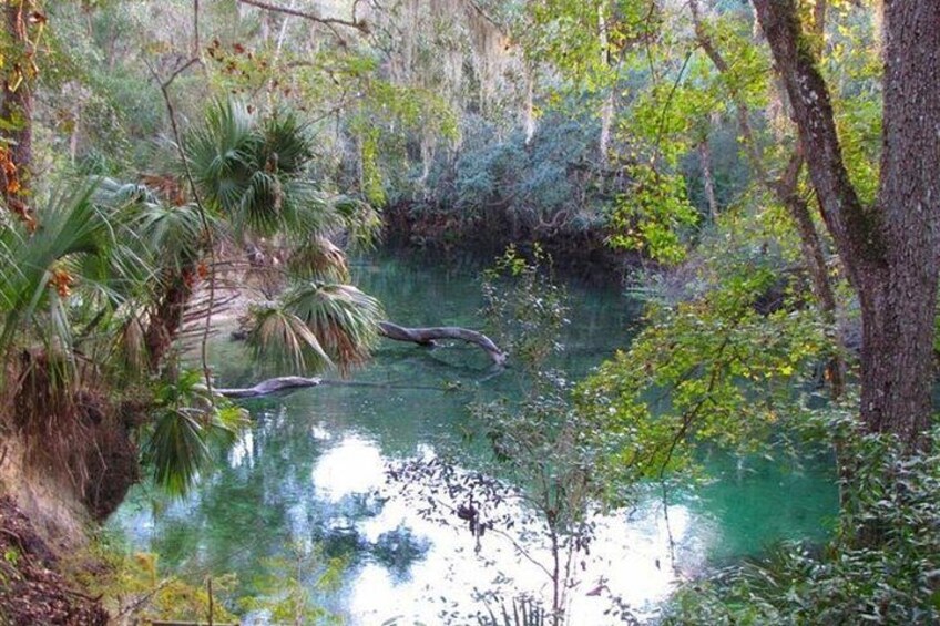 St. Johns River Cruise - Blue Spring State Park 3