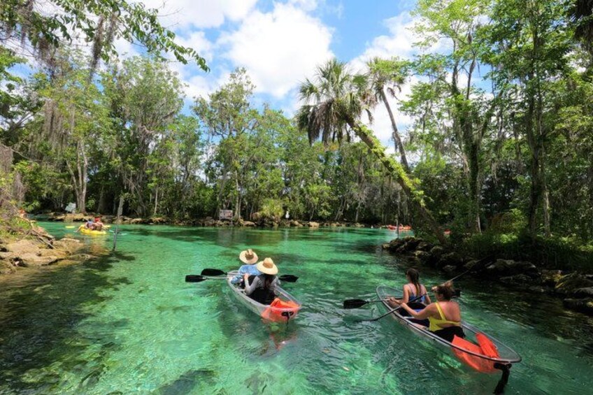 Clear Kayak Three Sisters Springs & Manatee Tour Of Crystal River 2
