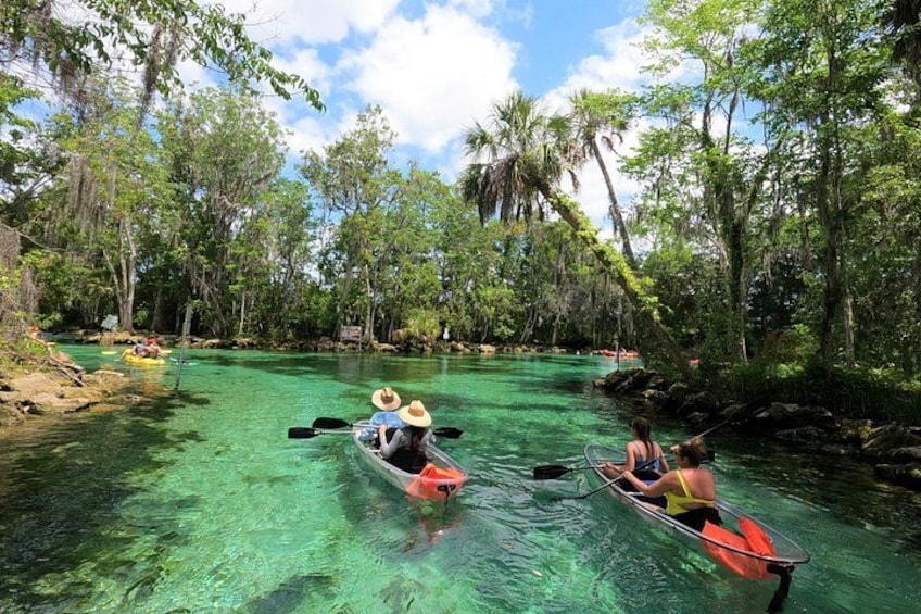 Clear Kayak Three Sisters Springs & Manatee Tour Of Crystal River 4