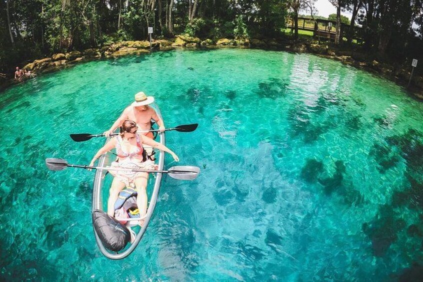 All Clear Kayak Tour of Three Sisters Springs 1