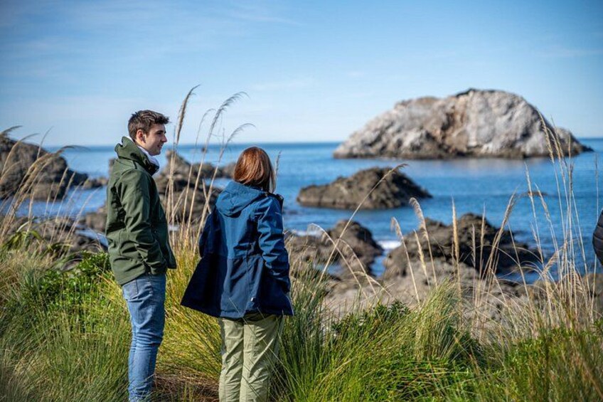 Deux personnes se tiennent debout sur une falaise herbeuse, surplombant la mer, avec des rochers et une grande formation rocheuse au loin. 4