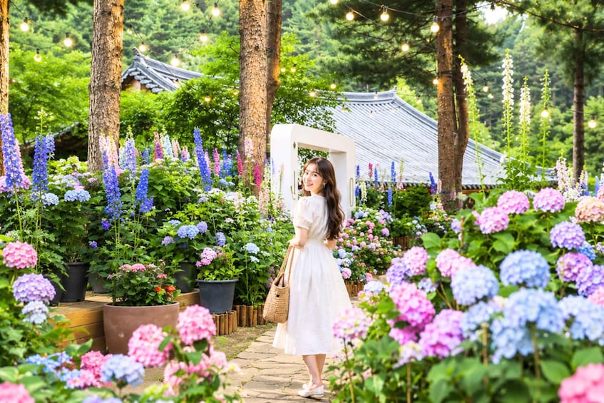 Nami, Petite France and Morning Calm Garden tour from Seoul 3