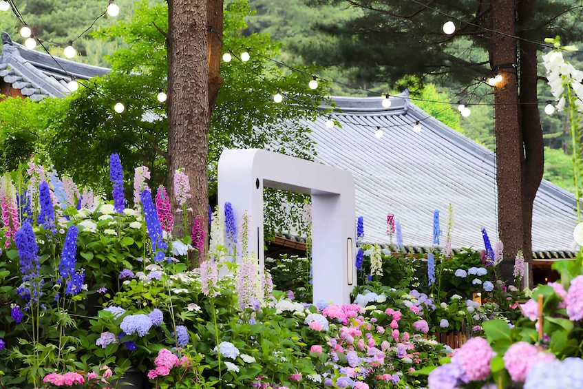 Picture 13 for Activity Nami, Petite France and Morning Calm Garden tour from Seoul 5