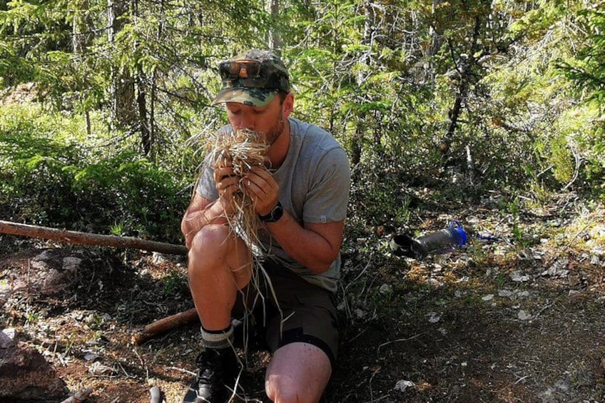 Stockholm Foraging & Outdoor Cooking: 3-Course Fire Meal 4