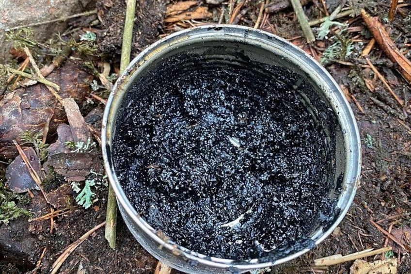 Stockholm Foraging & Outdoor Cooking: 3-Course Fire Meal 3