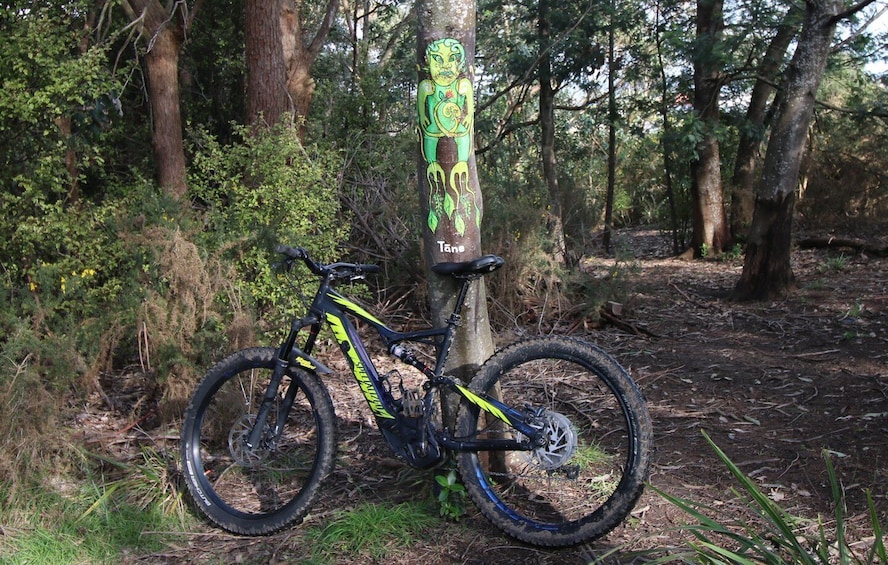 A mountain bike parked next to a tree with a green and yellow design. 2