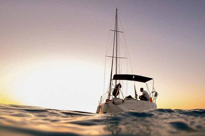 Private Asinara and La Pelosa Sunset Sailing Tour 5