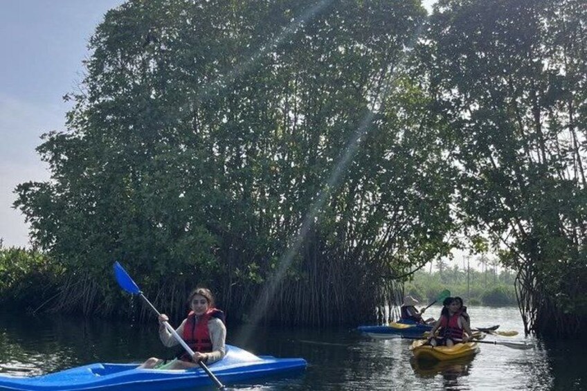 4 Hours Purple Island Mangroves Kayaking Adventure in Qatar 2