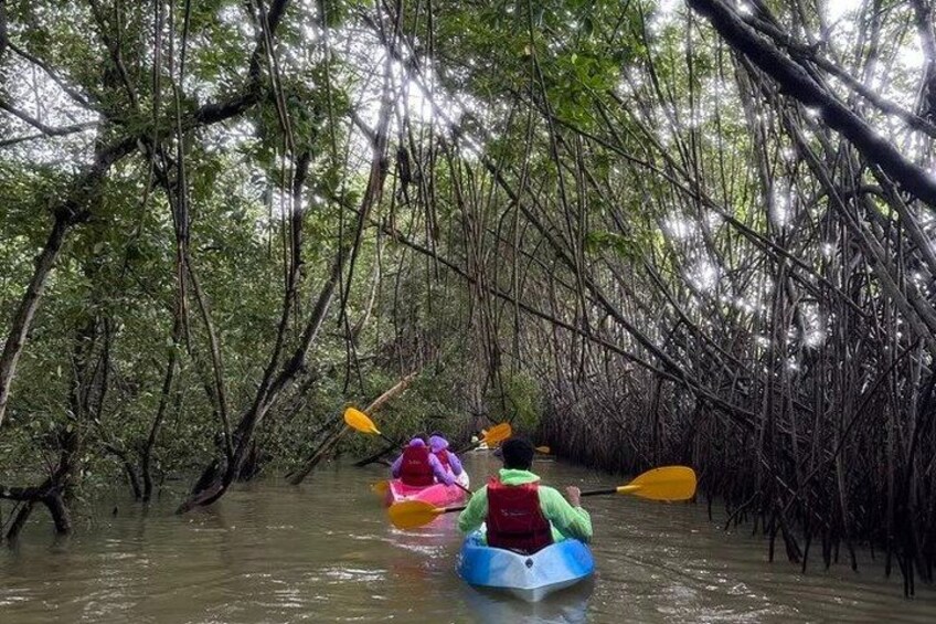 4 Hours Purple Island Mangroves Kayaking Adventure in Qatar 3