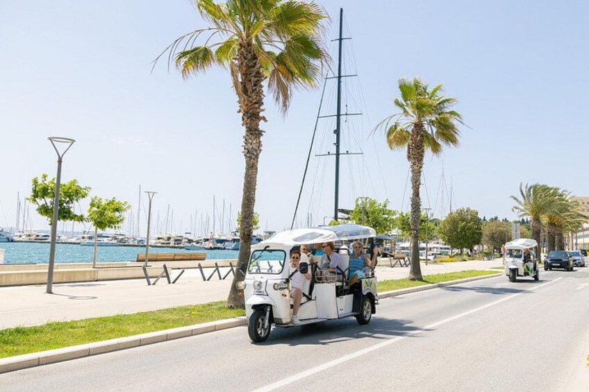 Un autobús turístico blanco con pasajeros, palmeras y un puerto deportivo con barcos al fondo. 3