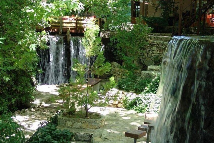 Una cascada fluye sobre rocas en un jardín con abundante vegetación y un puente de madera. 1