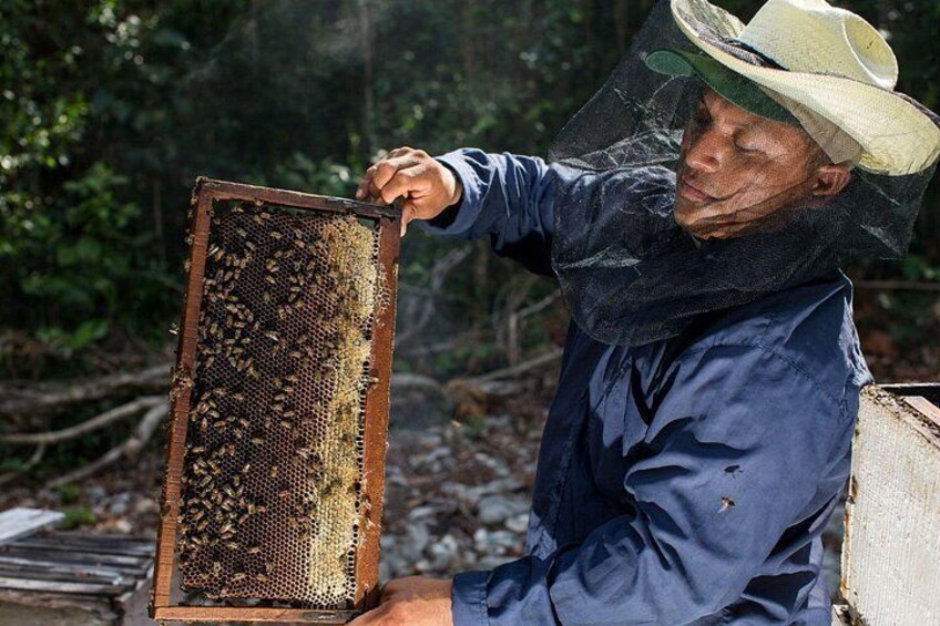 A person in protective clothing handling a beehive. 4