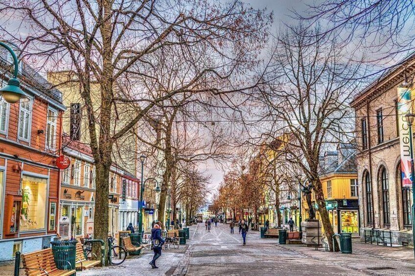 A tree-lined street with benches and bicycles, shops, and buildings. 1