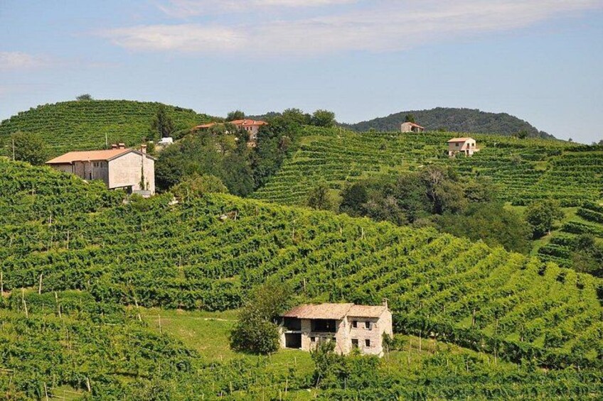 Private Day Trip From Venice To Prosecco and Miramare Castle 5