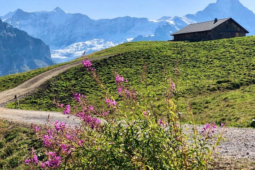 Private Trip to Grindelwald & Lauterbrunnen by Train from Zurich 5