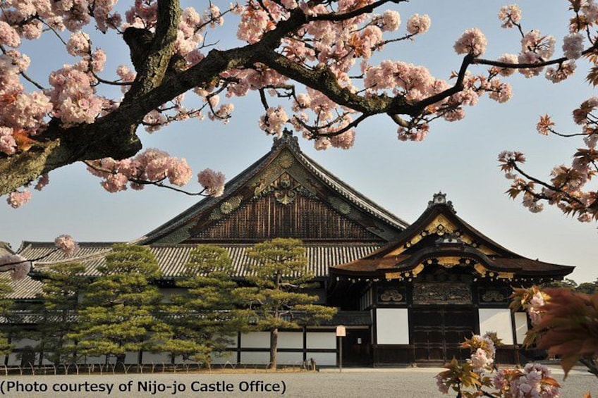 Kyoto 1 Day Tour from Osaka 1