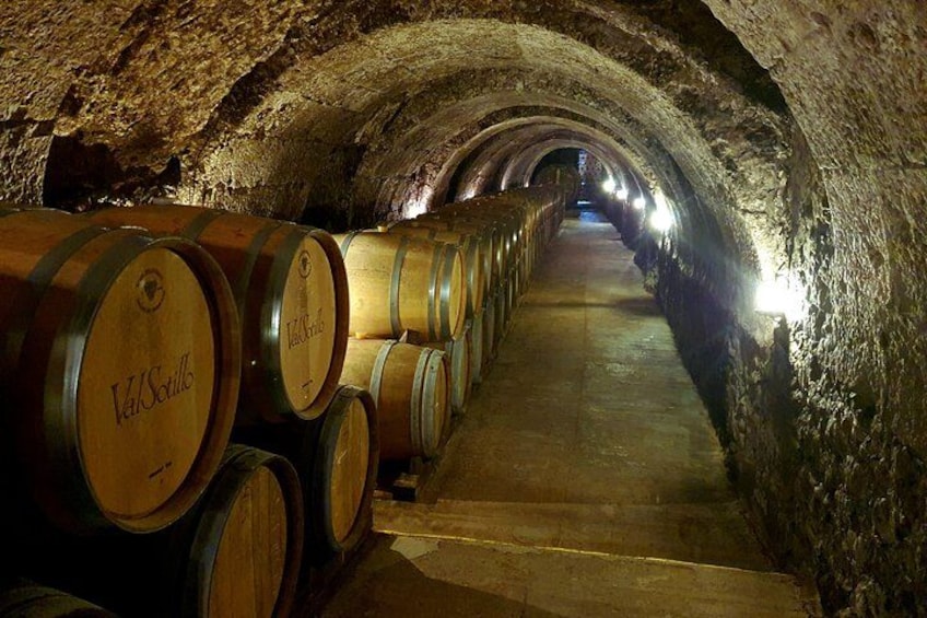 A tunnel with wooden barrels lined up on one side. 1
