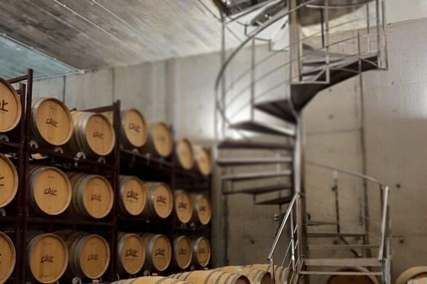 Underground cellars 3
