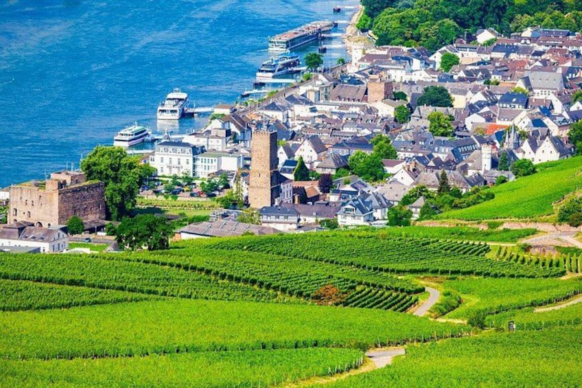 Full Day Private Rhine Valley Wine Tour Experience from Frankfurt 1