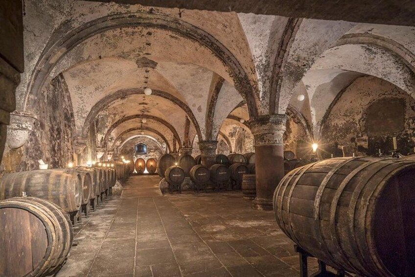 Full Day Private Rhine Valley Wine Tour Experience from Frankfurt 2