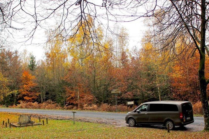 Ein Van steht an einer Straße, im Hintergrund leuchtend bunte Herbstbäume. 1