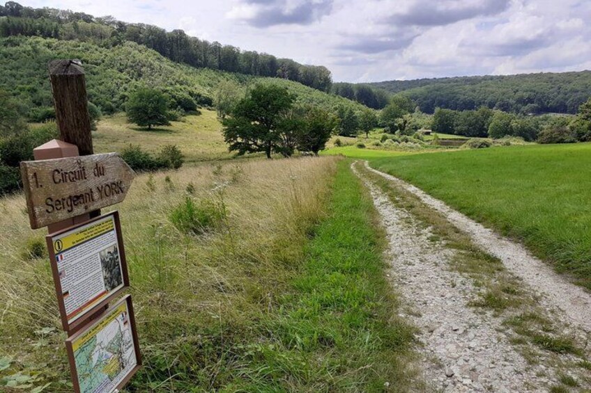 A signpost with a trail leading through a grassy field with trees in the background. 5