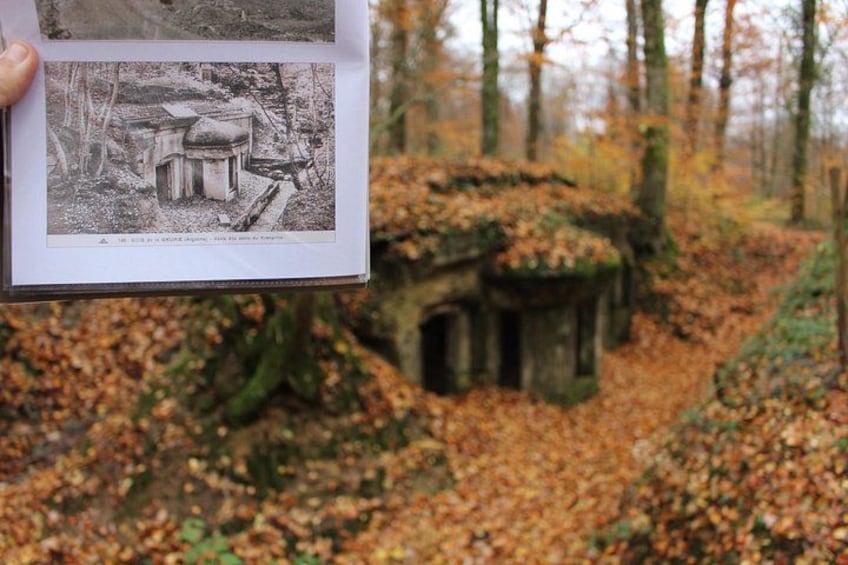 Ein Wald mit einer Steinstruktur. 5