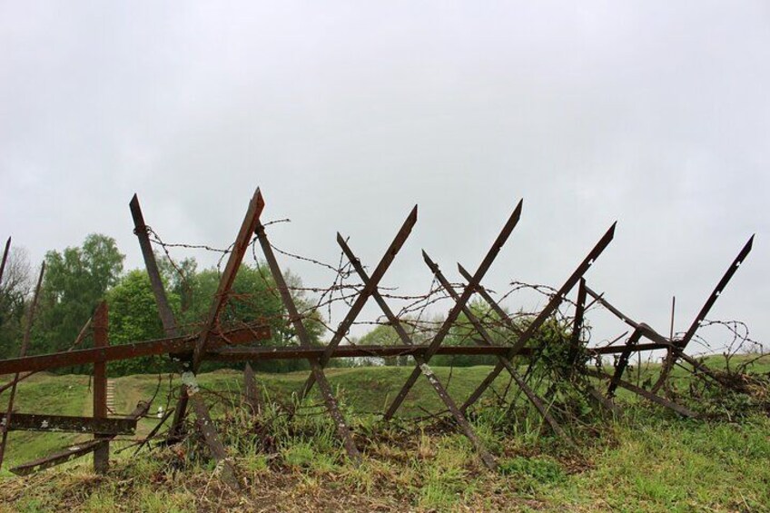 A dilapidated wooden fence with barbed wire, overgrown vegetation, and a cloudy sky. 1