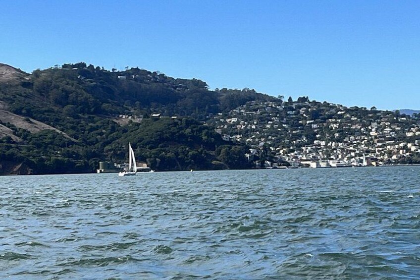 View of Sausalito 2