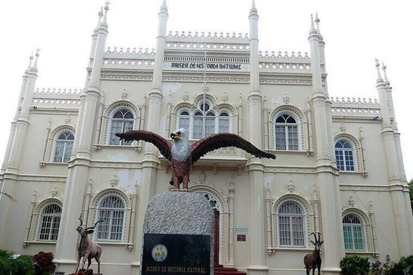 Museum 2