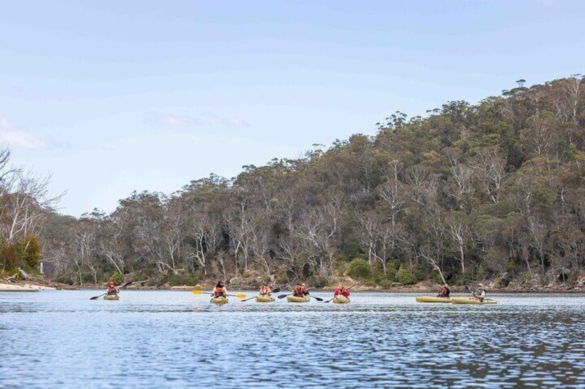 3 Hour Aboriginal Culture Tour with Kayaking in Coraki Drive