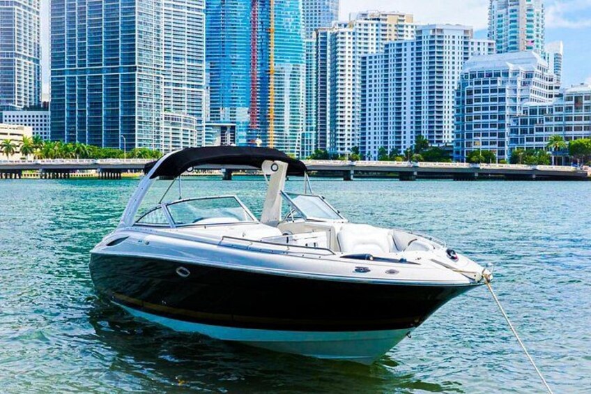 Miami Private Boat Cruise with a Captain 4