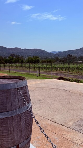 Picture 18 for Activity Johannesburg: Wine Tasting and Cableway Half Day Tour 5