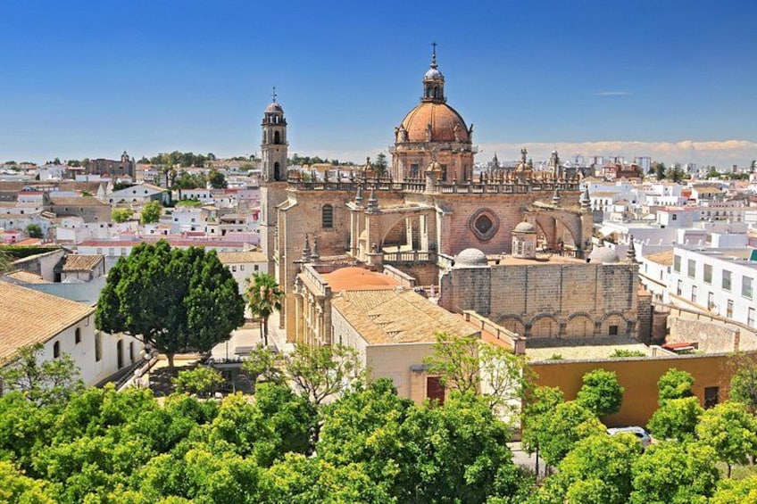 Un paisaje urbano histórico con edificios destacados de cúpulas y campanarios, árboles verdes frondosos y un cielo azul despejado. 4