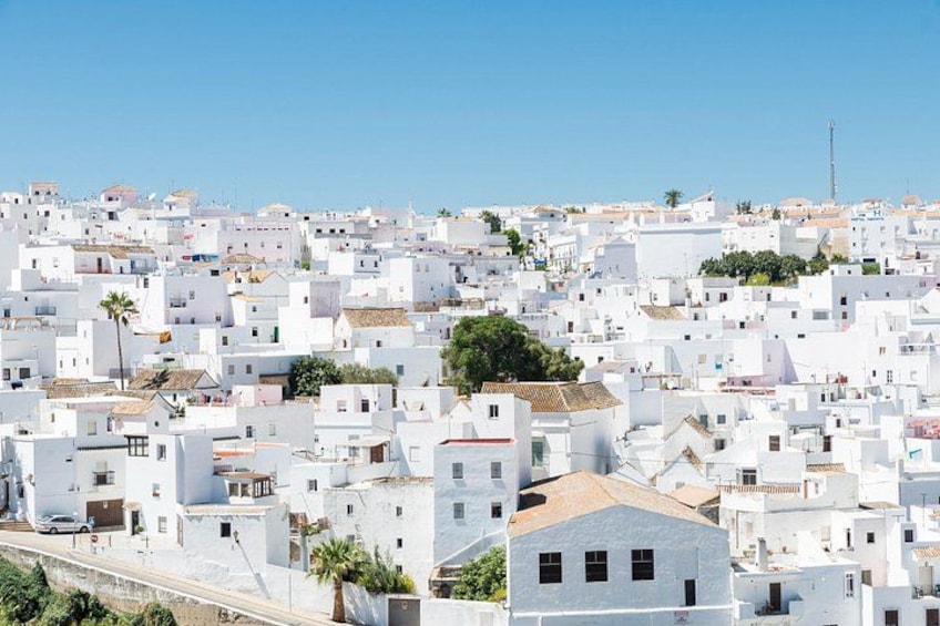 Un pueblo blanco y apretado con edificios, palmeras y un cielo azul despejado. 3