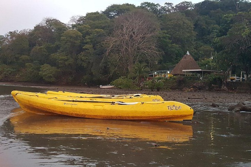 Bioluminescence Experience in Paquera with Dinner Included 1