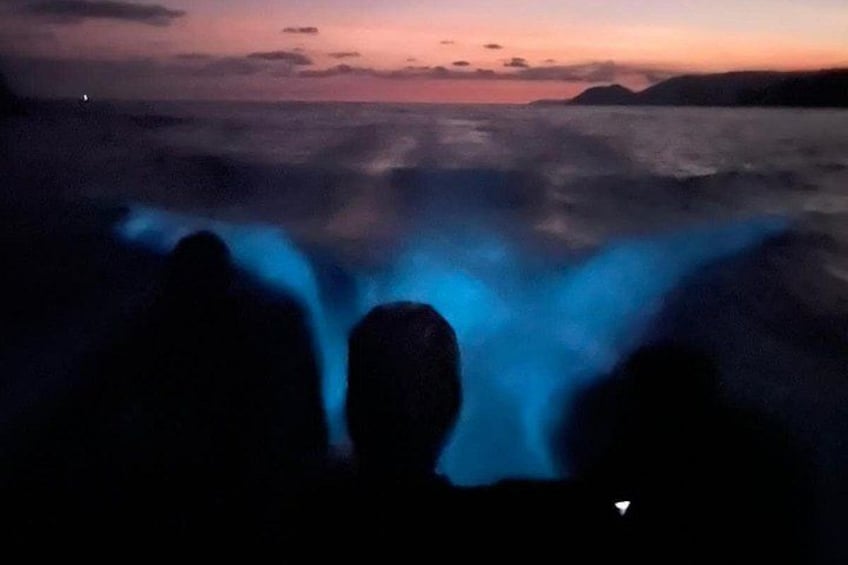 Bioluminescence Experience in Paquera with Dinner Included 5