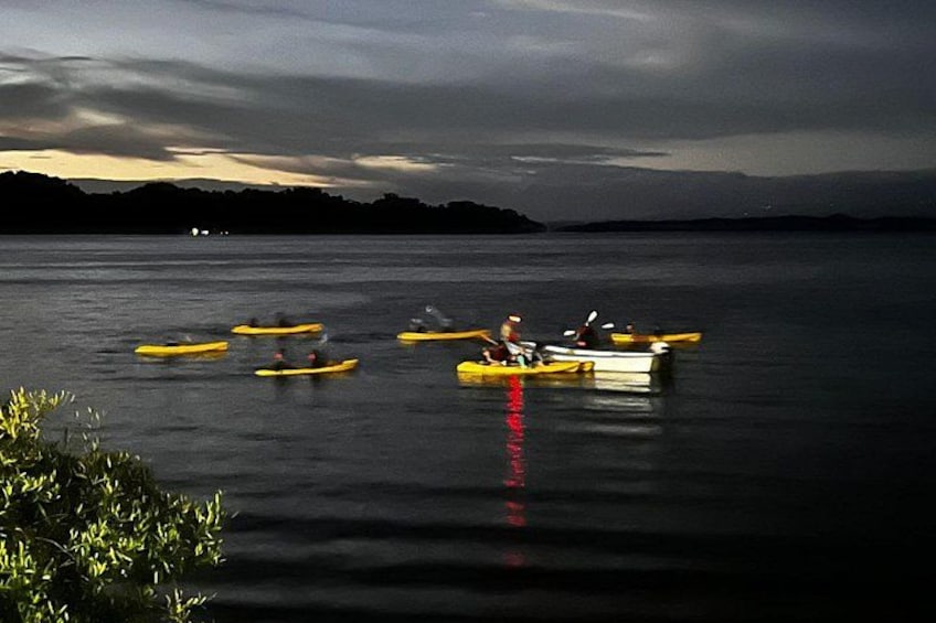 Bioluminescence Experience in Paquera with Dinner Included 2