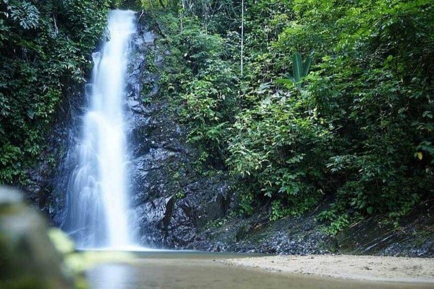 Una cascada rodeada de vegetación exuberante. 2
