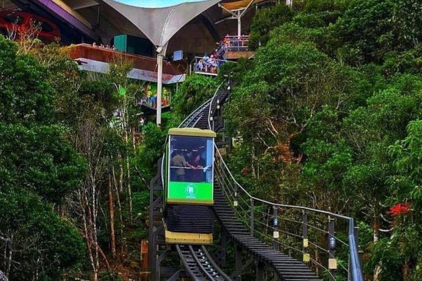 Un teleférico avanza por una vía rodeado de vegetación densa. 4