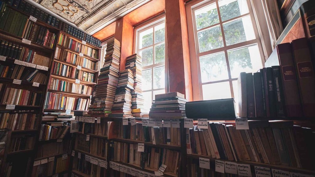 Ett bibliotek med bokhyllor fulla av böcker och ett stort fönster i bakgrunden. 3