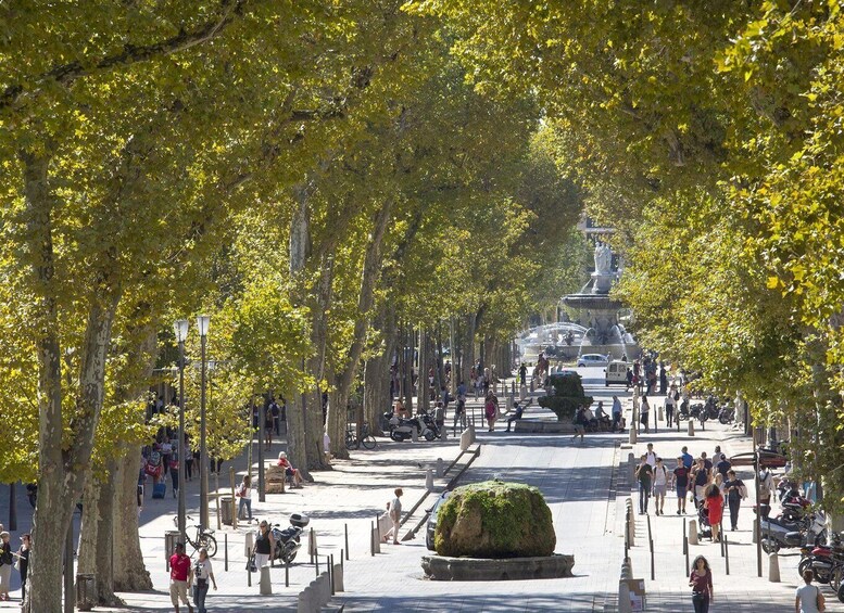 Picture 7 for Activity Provence, Vineyards & Lavender Fields Private Day Trip