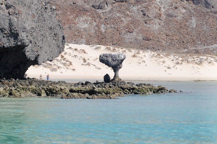 Espíritu Santo Island Snorkel with Sea Lions & Balandra Beach 2