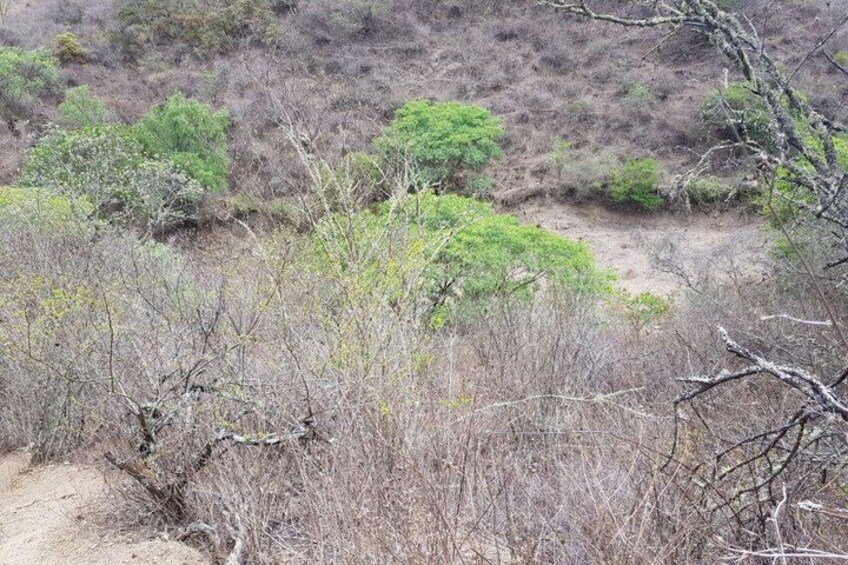 3D/2N Getaway on the Che Guevara Route Live the Adventure! 5
