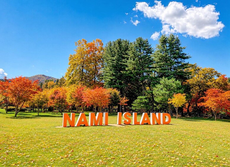 Picture 10 for Activity Seoul: Nami Island, Garden and Petite France (opt. Railbike) 5