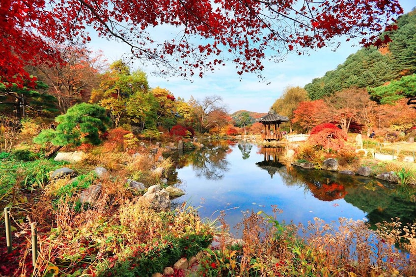 Seoul: Nami Island, Garden and Petite France (opt. Railbike) 1