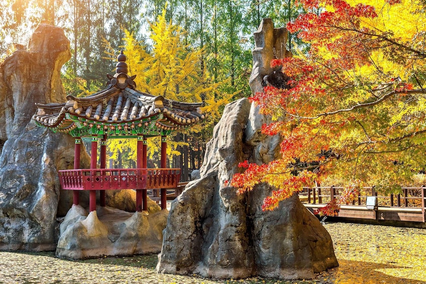 Picture 19 for Activity Seoul: Nami Island, Garden and Petite France (opt. Railbike) 3