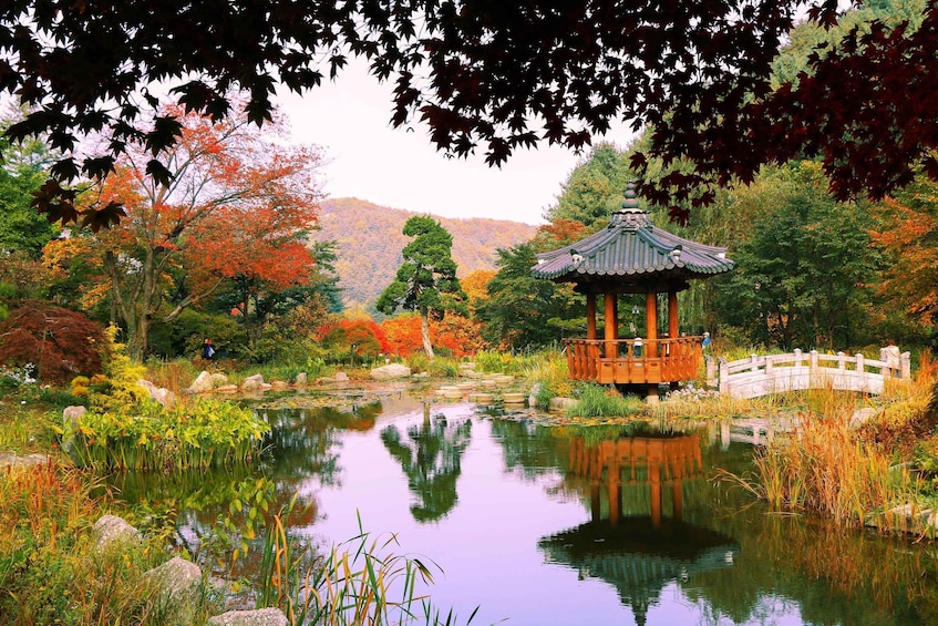 Picture 14 for Activity Seoul: Nami Island, Garden and Petite France (opt. Railbike) 4